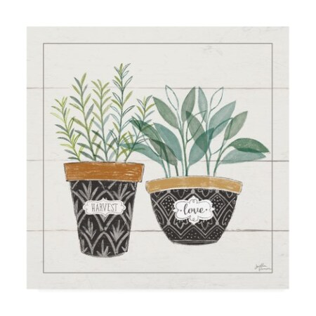 Trademark Fine Art Janelle Penner 'Fine Herbs IV Love' Canvas Art, 18x18 WAP11481-C1818GG